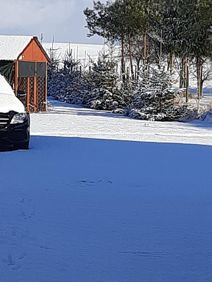 Der Kleine Bauernhof Keine Arbeiter Zadnych Pracownikow Lägenhet Lubiatow  Exteriör bild