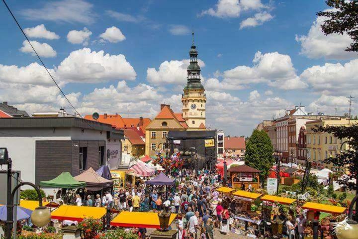 Der Kleine Bauernhof Keine Arbeiter Zadnych Pracownikow Lägenhet Lubiatow  Exteriör bild