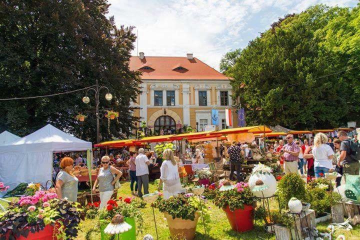 Der Kleine Bauernhof Keine Arbeiter Zadnych Pracownikow Lägenhet Lubiatow  Exteriör bild